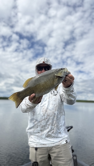 Smallmouth Bass