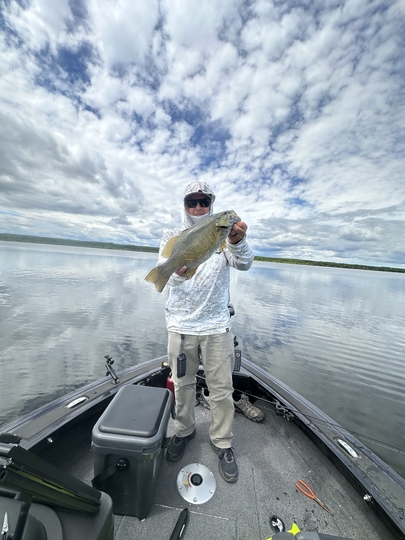 Smallmouth Bass