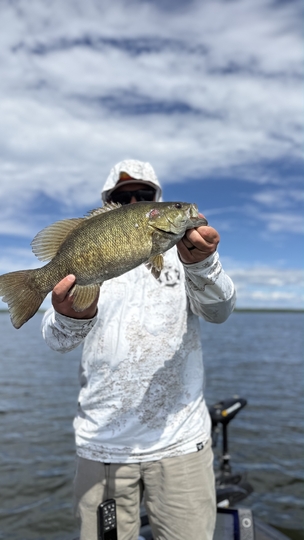 Smallmouth Bass