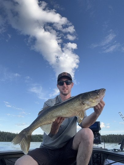Walleye