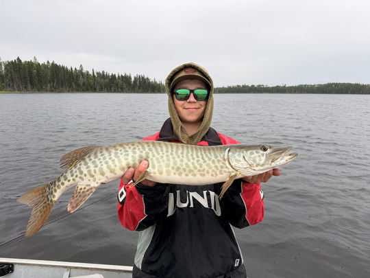 Muskellunge