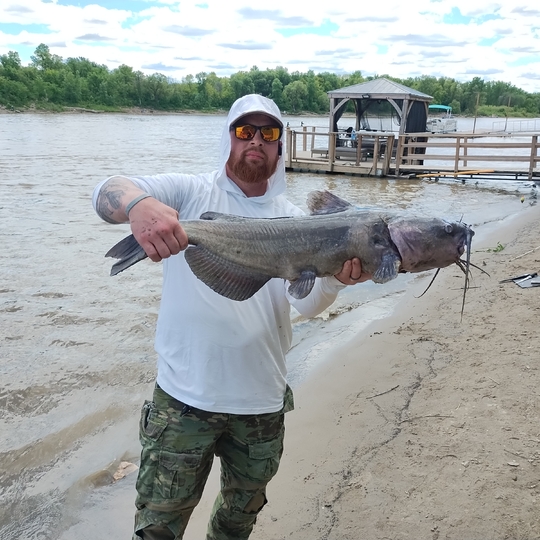 Channel Catfish
