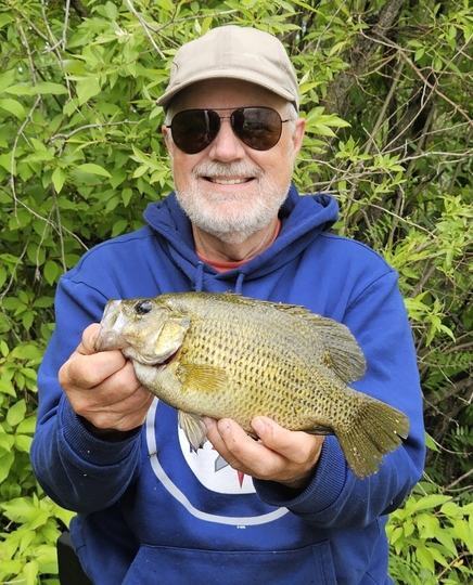 Rock Bass