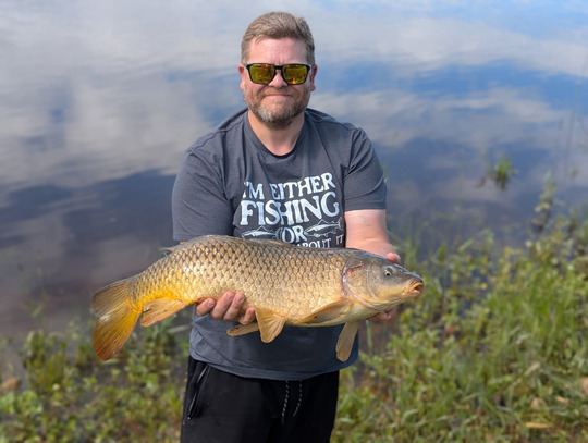 Common Carp