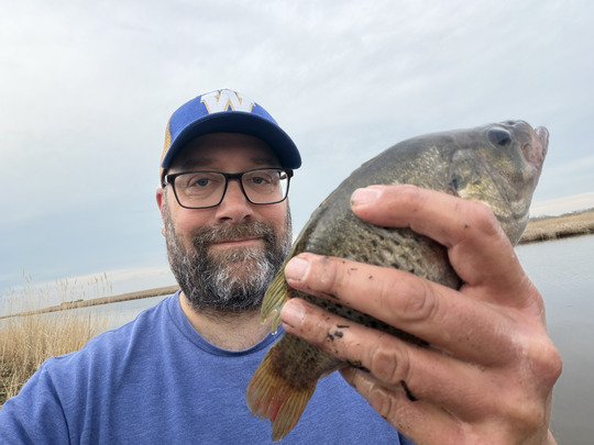 Rock Bass