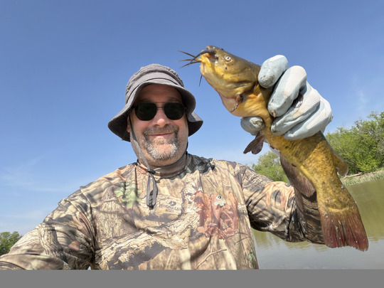 Bullhead