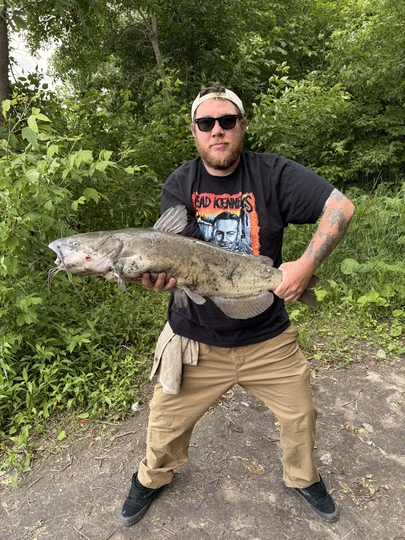 Channel Catfish