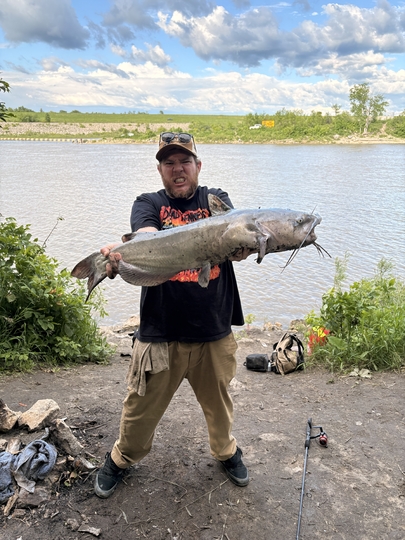 Channel Catfish