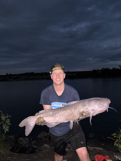 Channel Catfish