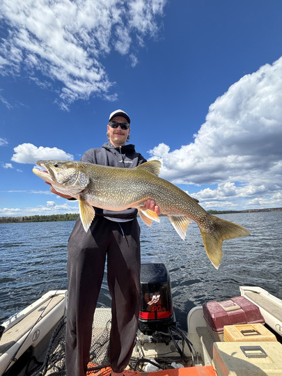 Lake Trout