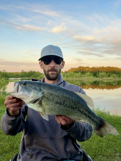 Largemouth Bass