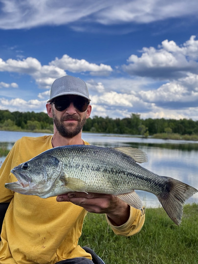 Largemouth Bass