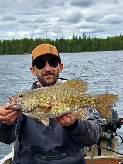 Smallmouth Bass