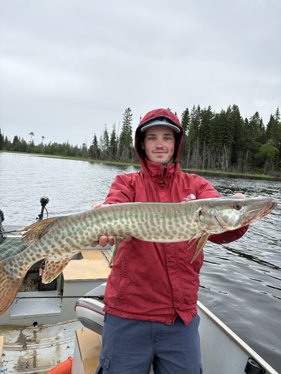 Muskellunge