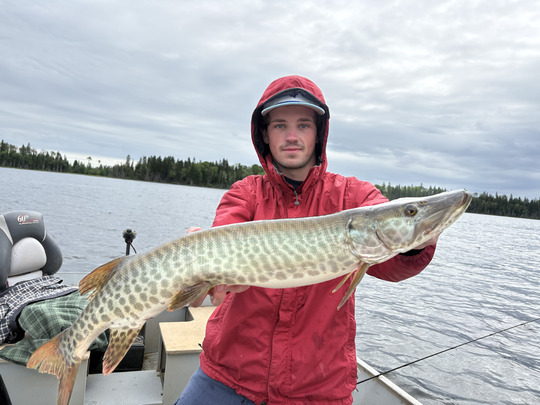 Muskellunge