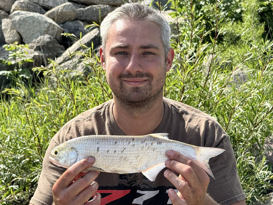 Goldeye