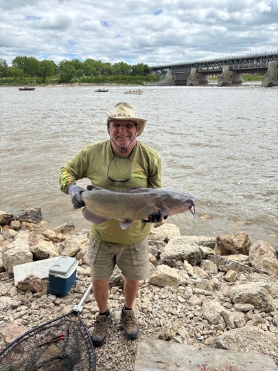 Channel Catfish