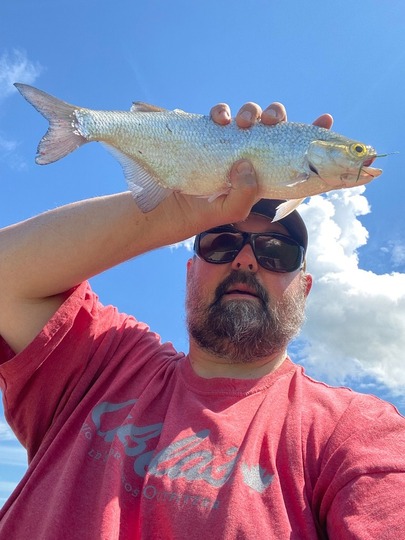 Goldeye