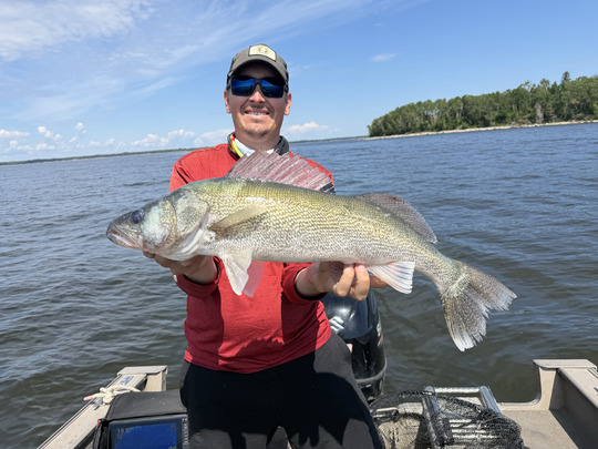 Walleye