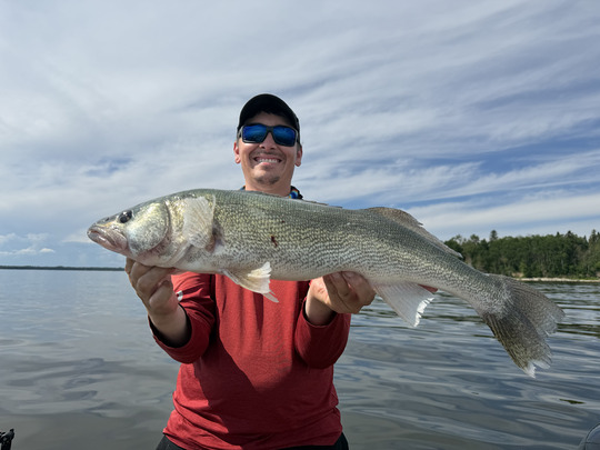Walleye