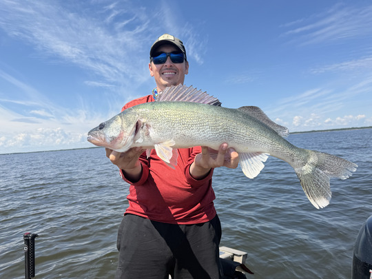 Walleye
