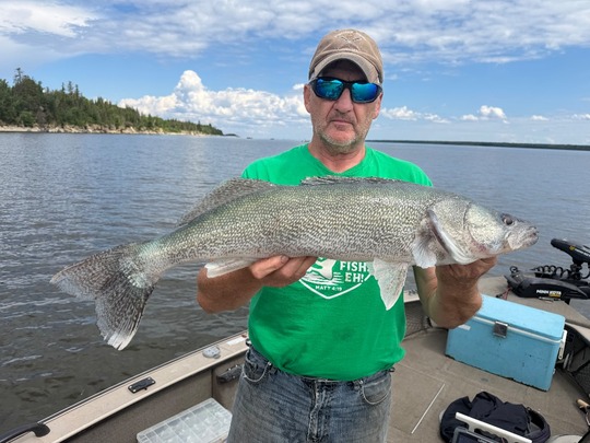 Walleye