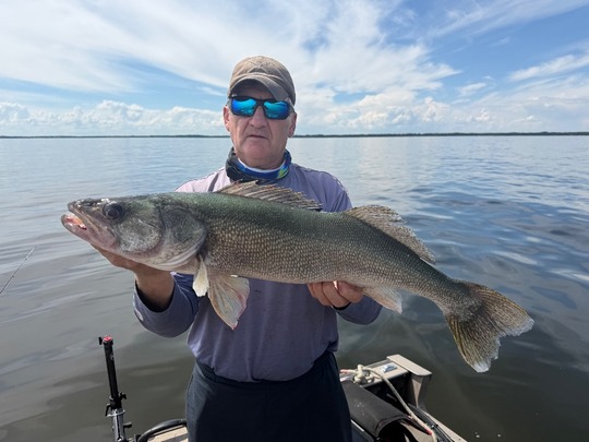 Walleye