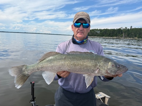 Walleye
