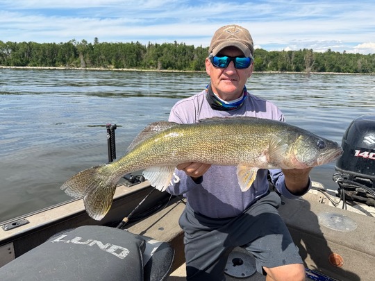 Walleye