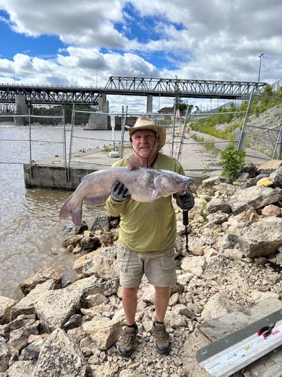 Channel Catfish