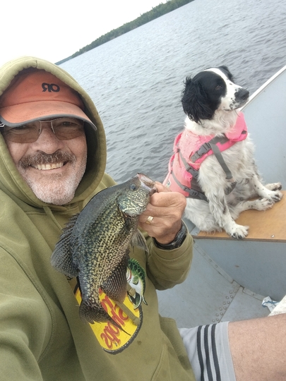 Black Crappie