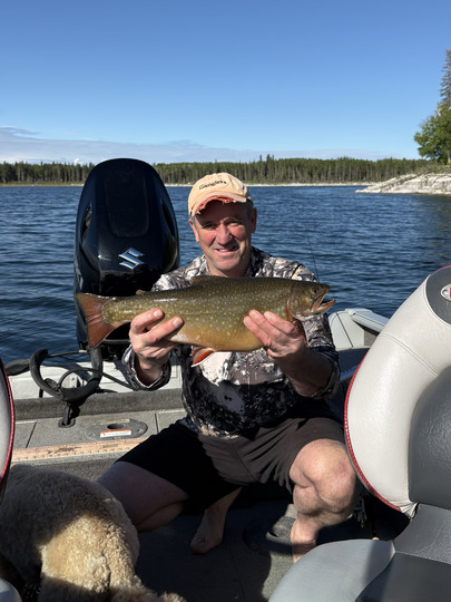 Brook Trout
