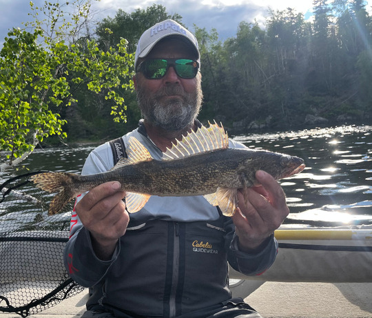 Sauger