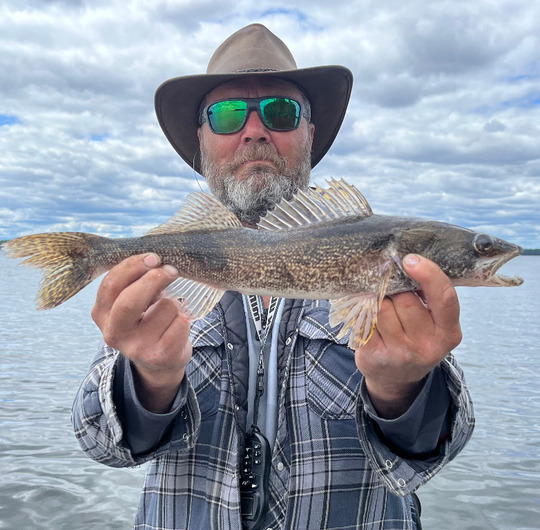 Sauger