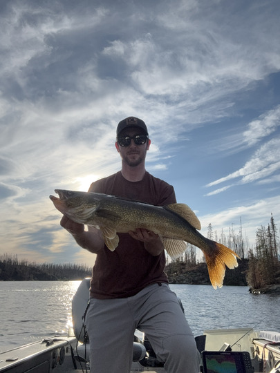 Walleye