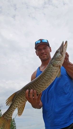 Muskellunge