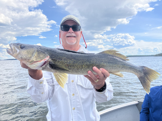 Walleye
