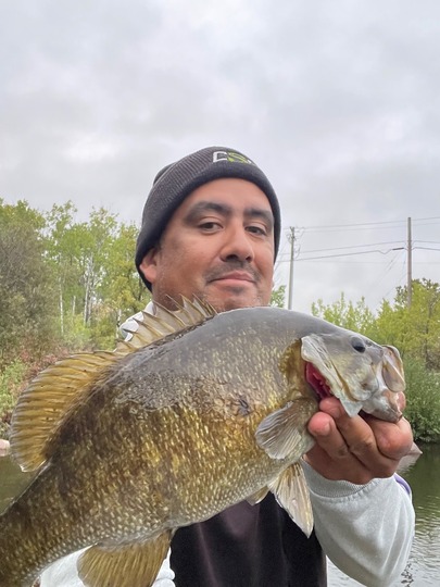 Smallmouth Bass