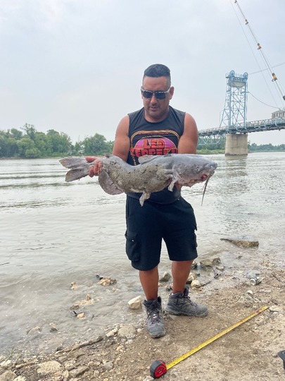 Channel Catfish