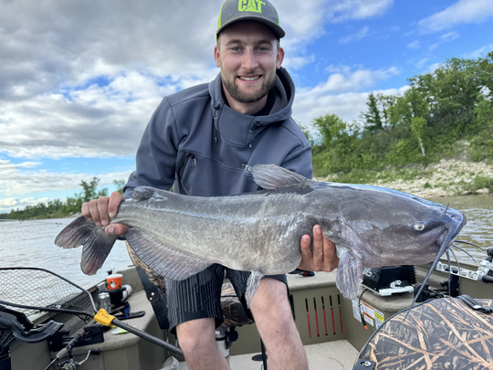 Channel Catfish