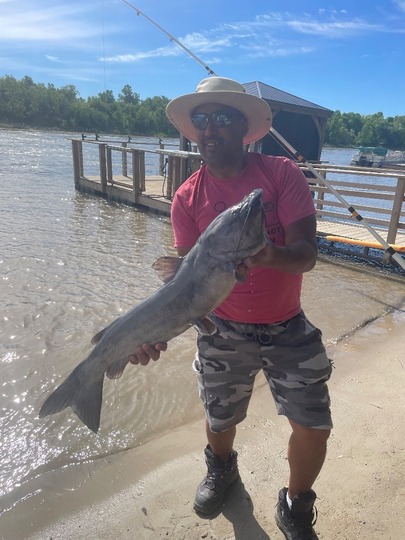 Channel Catfish