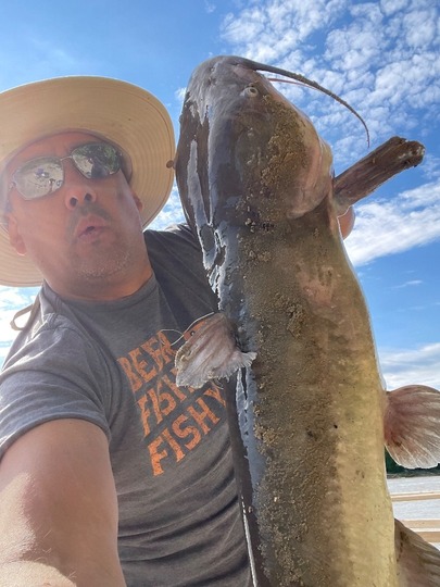 Channel Catfish