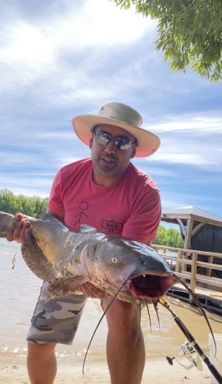 Channel Catfish