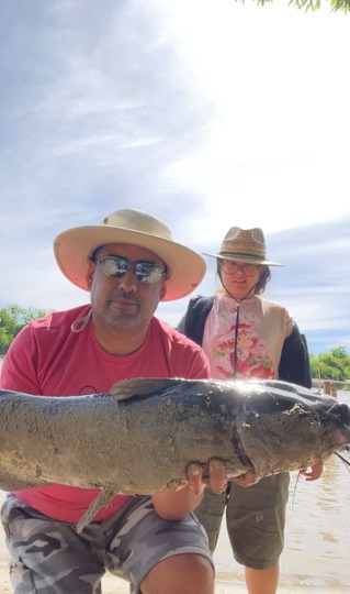 Channel Catfish