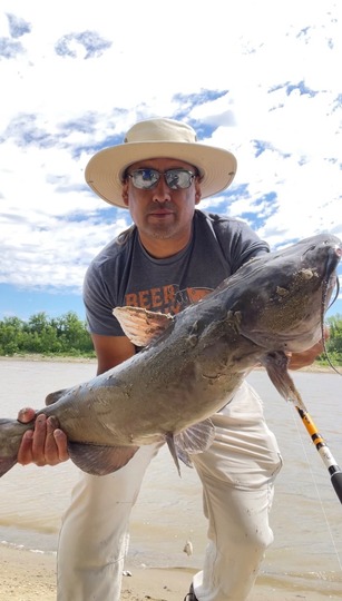 Channel Catfish