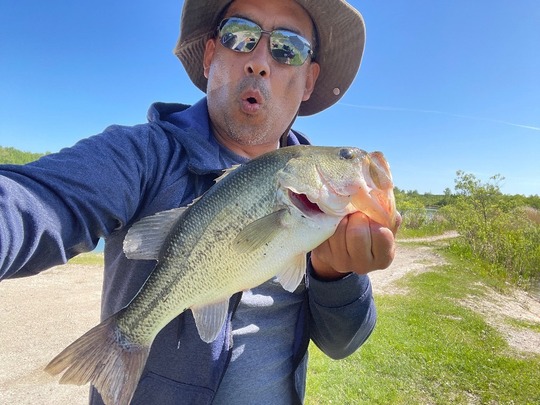 Largemouth Bass