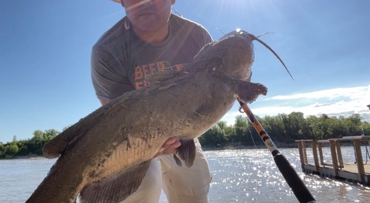 Channel Catfish