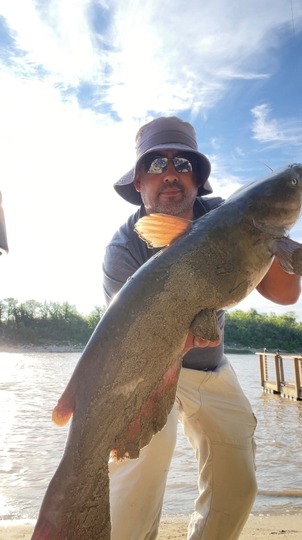 Channel Catfish