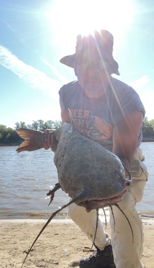 Channel Catfish