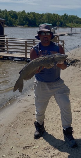Channel Catfish